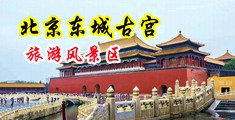 亚洲日韩名援骚穴中国北京-东城古宫旅游风景区